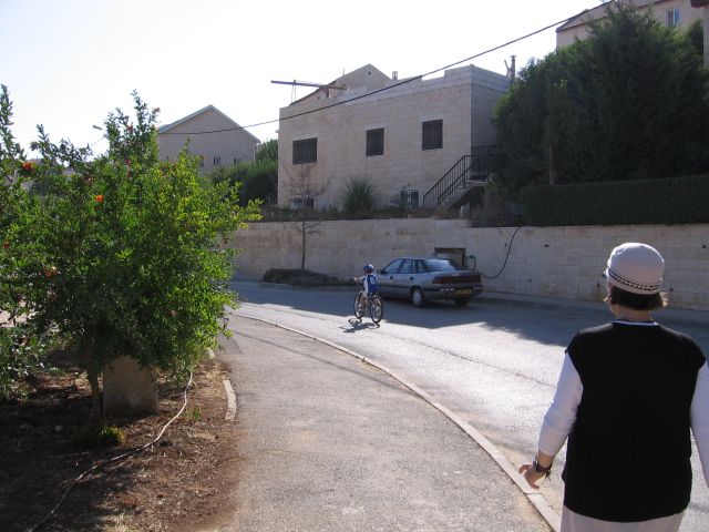 11_Romi_Matan.jpg