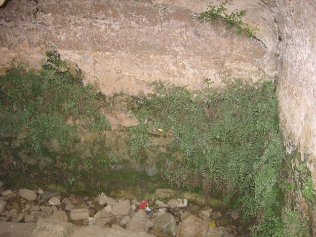 21_Derech_Avot_5.jpg