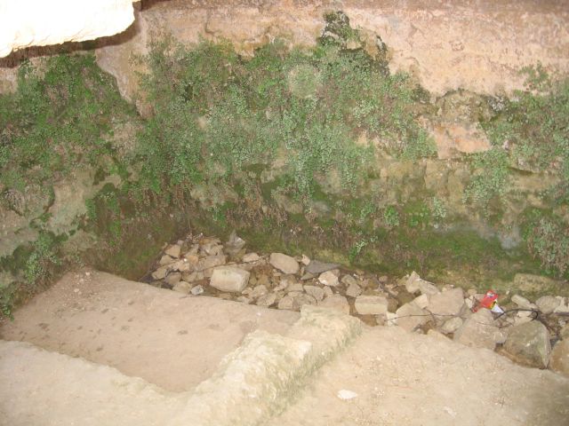 22_Derech_Avot_6.jpg