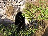 24_Derech_Avot_8.jpg