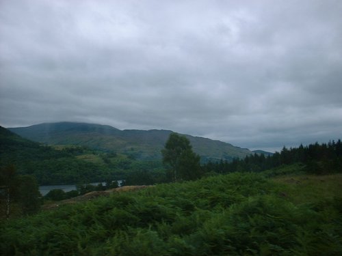DSCF0063.JPG