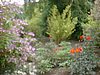 DSCF0035.JPG