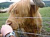 DSCF0040.JPG