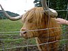 DSCF0043.JPG