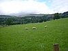 DSCF0045.JPG