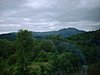 DSCF0057.JPG