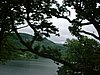 DSCF0062.JPG